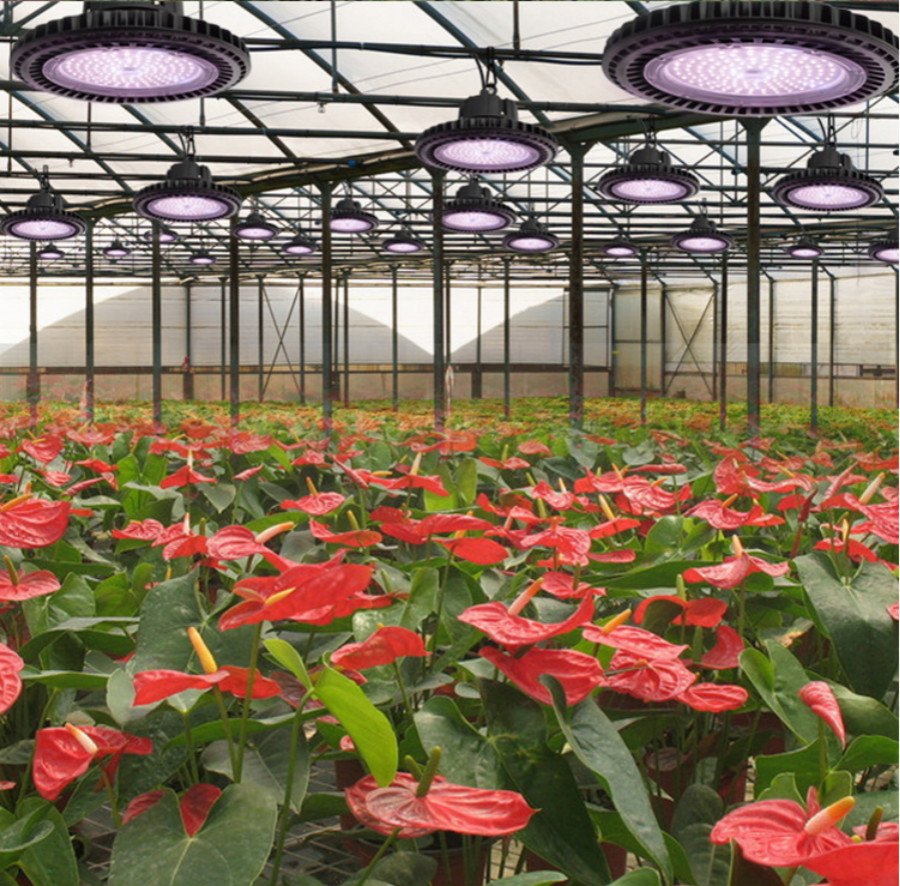 100W植物生长灯 UFO大棚吊灯大棚蔬菜基地生长灯 植物led补光灯 植物照明灯