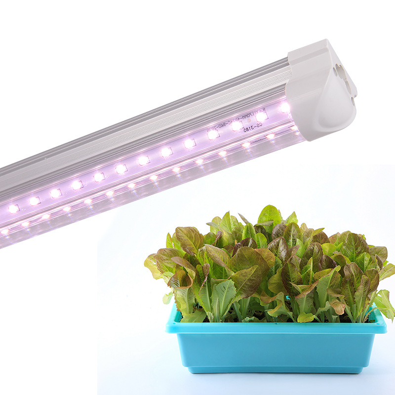 V型0.3米10W全光谱植物灯管 LED全光谱灯管 西红柿大棚补光灯