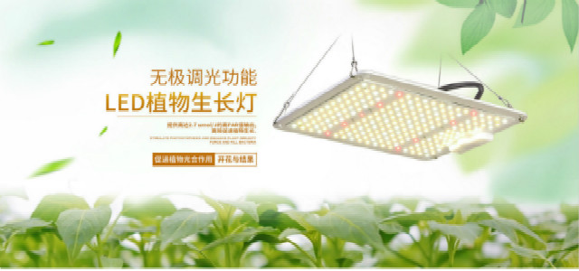 幻灯片1