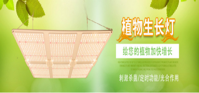 幻灯片4