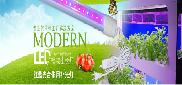 幻灯片5