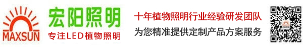 深圳市宏阳照明有限公司官方