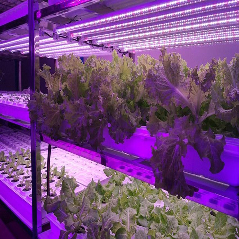 led全光谱植物灯 1.2米植物生长灯管 大棚种植生长灯管 西红柿生长灯管