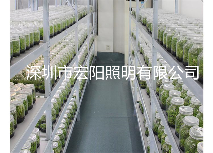 led植物组培灯 植物组培灯管  植物组培灯管 组培专用灯管 温室组培植物灯管