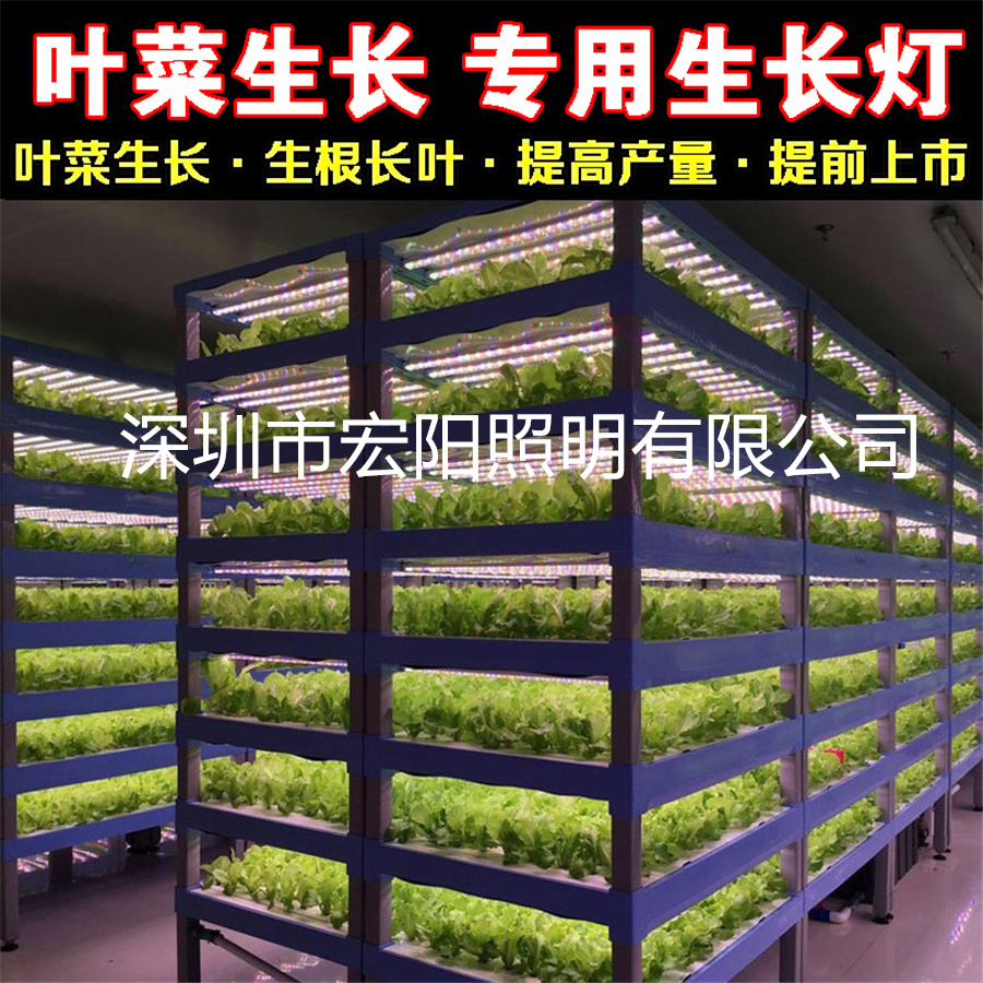 植物照明公司供应温室植物组培灯具 大棚水培植物灯 蔬菜水培灯管