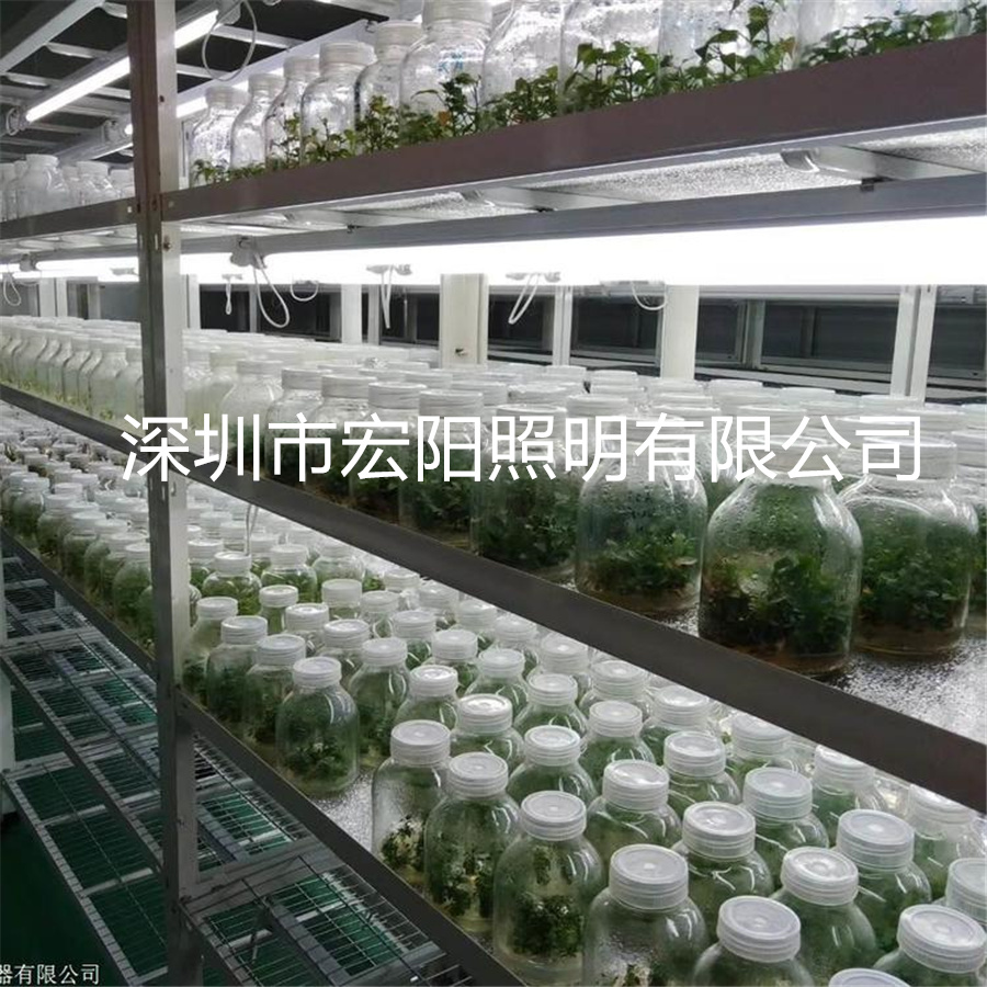 led植物照明灯 led植物组培灯管 18W植物组培灯管 T8防水植物灯管