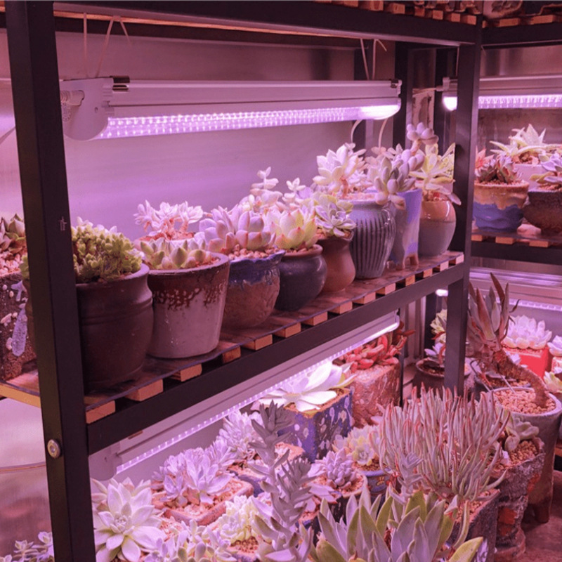 led植物灯温室多肉 led植物生长灯种多肉 led 植物补光灯 多肉led植物补光灯