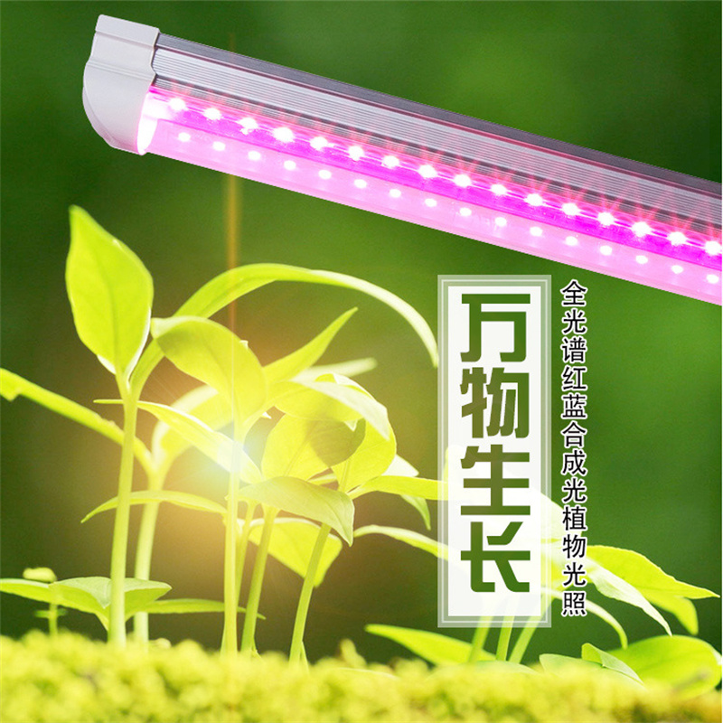 全光谱led植物生长灯品牌 led植物补光灯十大品牌