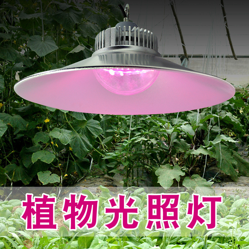 50W大棚植物照明工矿灯 大棚led植物生长灯 火龙果生长灯 兰花生长补光灯