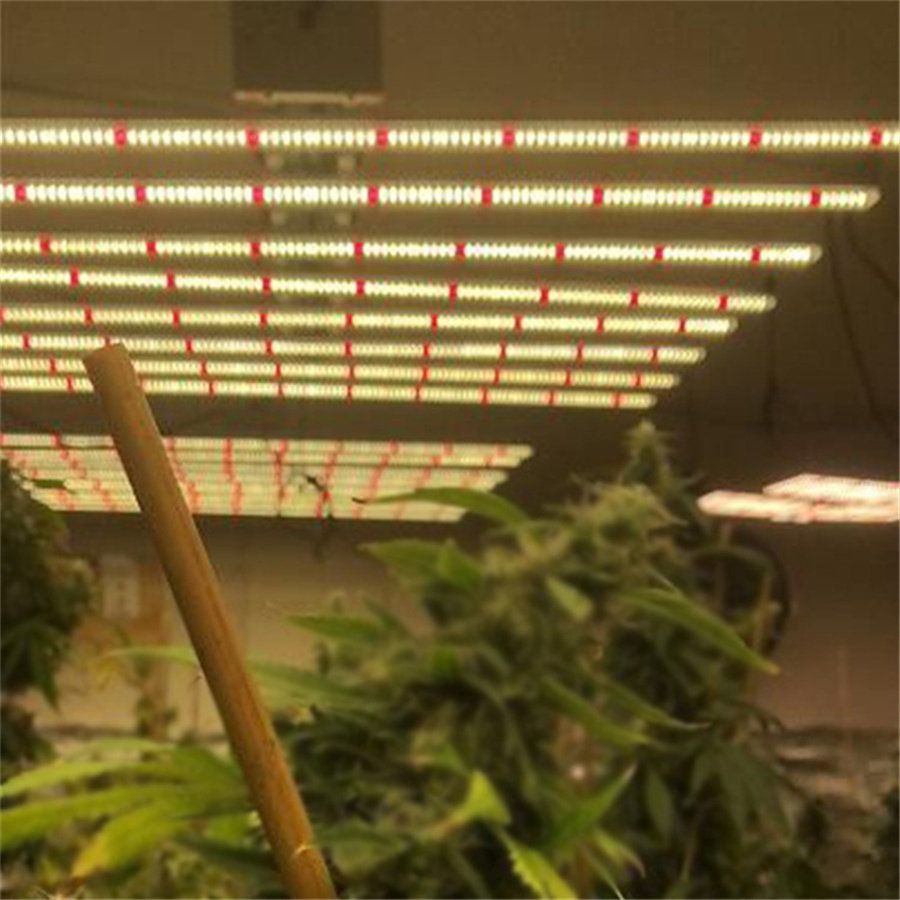 植物照明工厂供应植物工厂补光灯320W八爪鱼植物灯欧美大麻种植灯