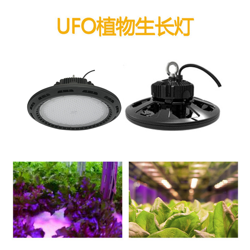 100W防水植物补光灯 户外大棚防水植物补光灯 兰花补光灯 玫瑰花生长补光灯