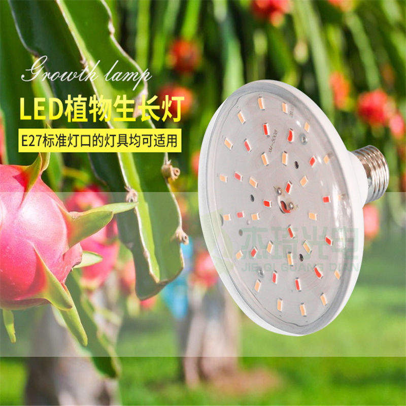 火龙果补光专用灯  LED植物补光灯  户外防水植物补光灯  火龙果生长补光灯