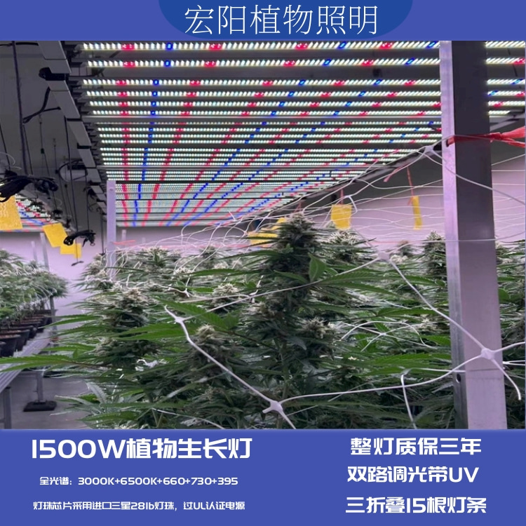 全光谱1500W植物生长灯 大棚种植蔬菜植物补光灯 出口美国大棚药材种植灯